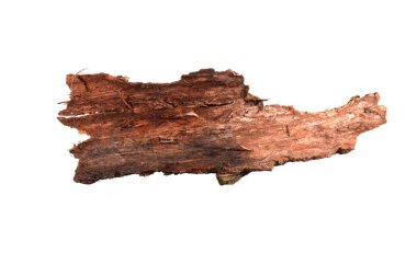 Beyaz arkaplanda ağaç kabuğu izole