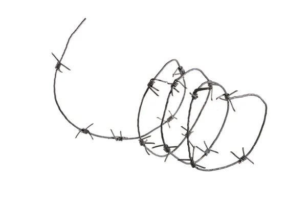 Barbed wire isolated on white background — Stock Photo, Image