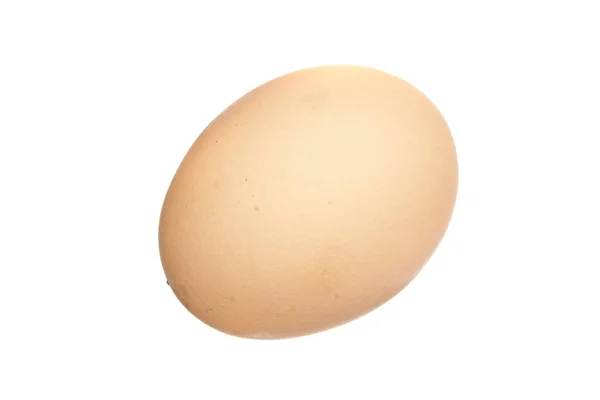 Αυγό κοτόπουλου απομονωμένο σε λευκό φόντο — Φωτογραφία Αρχείου