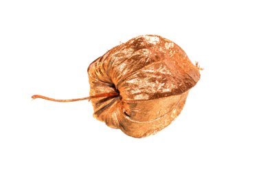 Çiçek tohumları beyaz arkaplanda izole edildi