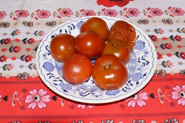 Şenlik masasında bahar yemeği