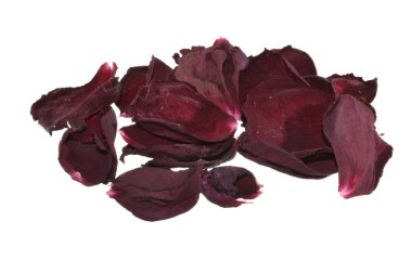 beyaz arkaplanda izole gül