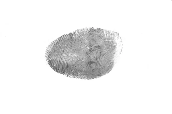 Impronta Digitale Isolata Sfondo Bianco — Foto Stock