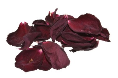 beyaz arkaplanda izole gül