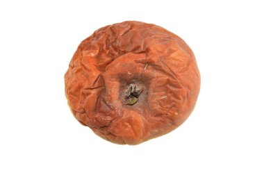 Çürük elma beyaz arkaplanda izole