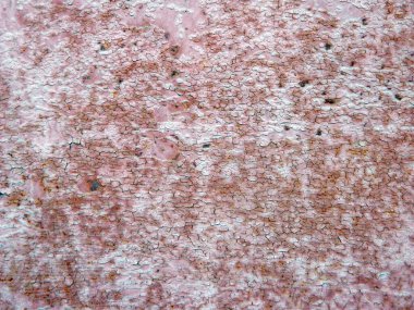                                arkaplan olarak eski çürük tahtalar