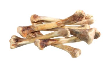 Beyaz arka plan üzerinde izole kemik