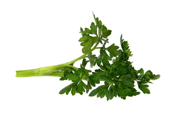 Verdes Salada Isolada Fundo Branco — Fotografia de Stock