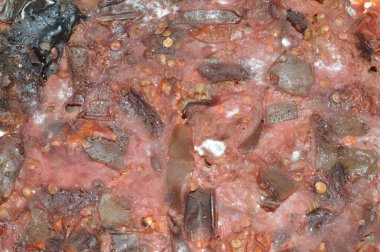 Beyaz arkaplanda küf izole edildi