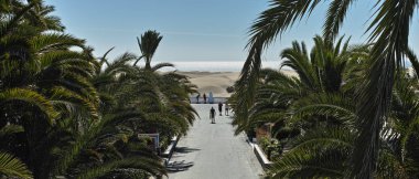 Maspalomalar Büyük Kanarya Adası İspanya