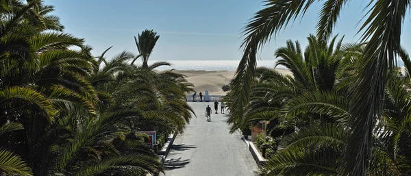 Maspalomalar Büyük Kanarya Adası İspanya