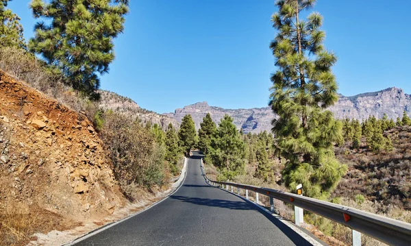 Hory Gran Canaria Španělsko — Stock fotografie