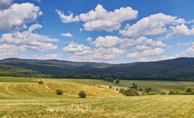 Taunus Hessen 'in Almanya' daki manzarası Avrupa