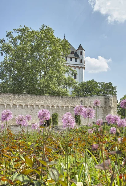 Eltville Slottstorn Rheingau Tyskland — Stockfoto