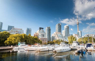 Toronto şehrinin ufuk çizgisi marinadan batıya, Ontario, Kanada