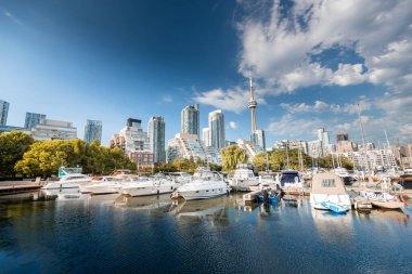 Toronto şehrinin ufuk çizgisi marinadan batıya, Ontario, Kanada