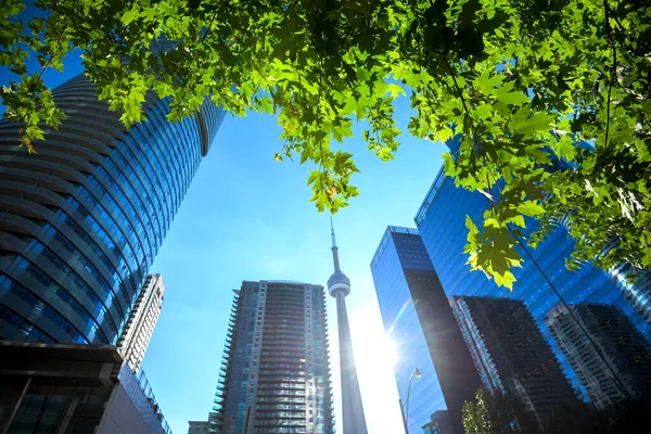 Edificios Modernos Toronto Canadá — Foto de Stock