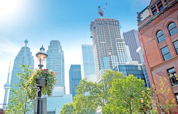 Edifici Moderni Nella Città Toronto Canada — Foto Stock