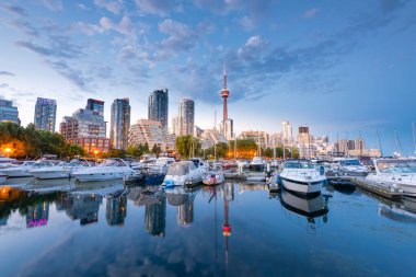 Toronto şehrinin gökyüzü Marina Quay West, Ontario, Kanada 'dan Gece