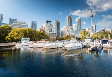 Toronto şehrinin ufuk çizgisi marinadan batıya, Ontario, Kanada