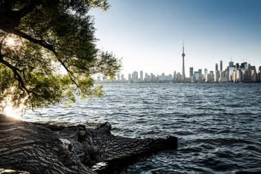 Toronto şehri merkez adası, Ontario, Kanada 'dan ufuk çizgisi manzarası