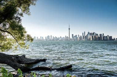 Toronto şehri merkez adası, Ontario, Kanada 'dan ufuk çizgisi manzarası