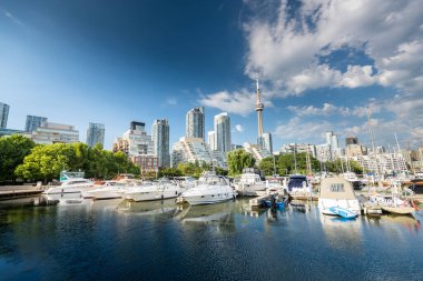 Toronto şehrinin ufuk çizgisi marinadan batıya, Ontario, Kanada