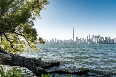 Toronto şehri merkez adası, Ontario, Kanada 'dan ufuk çizgisi manzarası