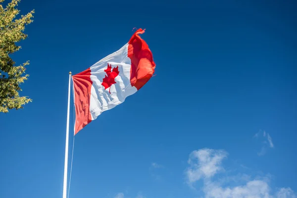 Kanada Flagga Blå Himmel — Stockfoto