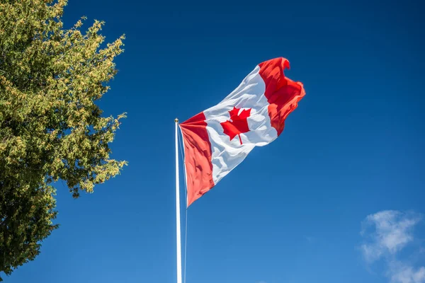 Kanada Flagga Blå Himmel — Stockfoto