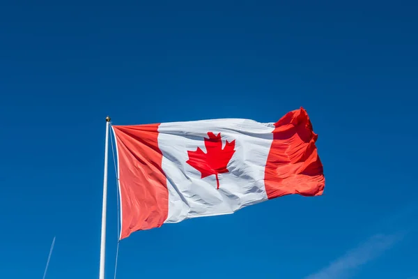 Флаг Канады Голубом Небе — стоковое фото