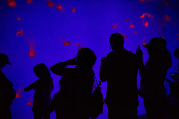 Toronto Aquarium Canada — Stock Photo, Image