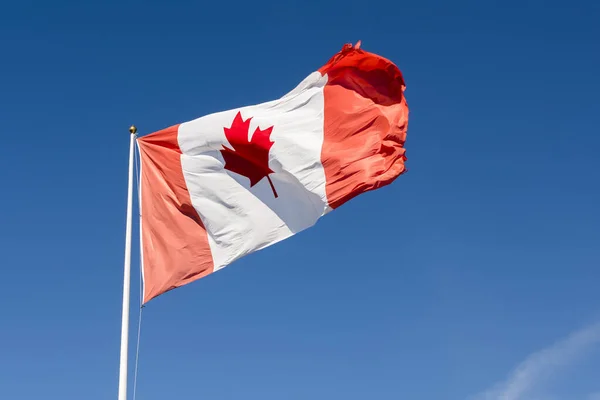 Canada Flag Blue Sky — Stock Photo, Image