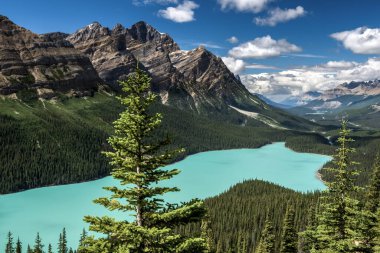 Güzel Peyto Gölü, Banff Ulusal Parkı, Alberta, Kanada
