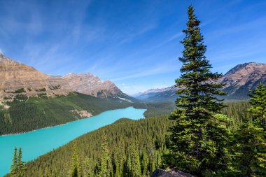 Güzel Peyto Gölü, Banff Ulusal Parkı, Alberta, Kanada