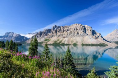 Bow Lake, Banff Ulusal Parkı, Alberta, Kanada