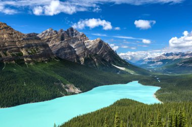 Güzel Peyto Gölü, Banff Ulusal Parkı, Alberta, Kanada