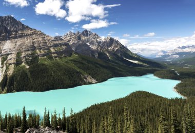 Güzel Peyto Gölü, Banff Ulusal Parkı, Alberta, Kanada