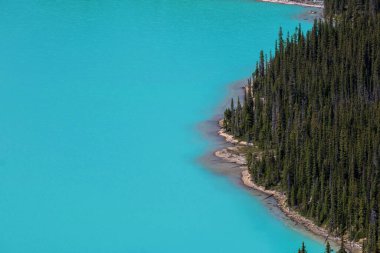 Güzel Peyto Gölü, Banff Ulusal Parkı, Alberta, Kanada