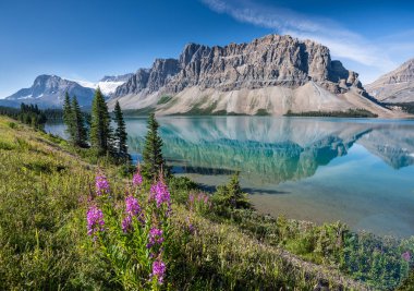 Bow Lake, Banff Ulusal Parkı, Alberta, Kanada