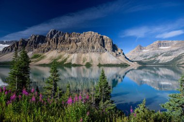 Bow Lake, Banff Ulusal Parkı, Alberta, Kanada