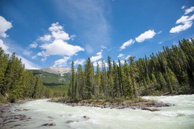 Sunwapta Şelalesi, Jasper, Alberta, Kanada