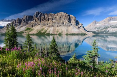 Bow Lake, Banff Ulusal Parkı, Alberta, Kanada