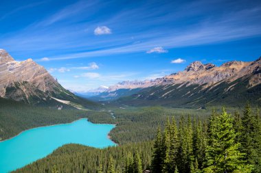Güzel Peyto Gölü, Banff Ulusal Parkı, Alberta, Kanada