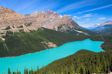 Güzel Peyto Gölü, Banff Ulusal Parkı, Alberta, Kanada