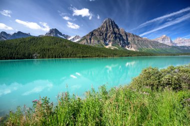 Su kuşu gölü Banff Ulusal Parkı, Alberta, Kanada