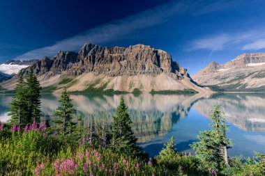 Bow Lake, Banff Ulusal Parkı, Alberta, Kanada