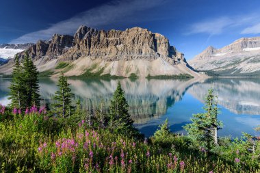 Bow Lake, Banff Ulusal Parkı, Alberta, Kanada