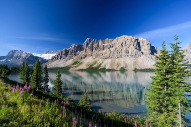 Bow Lake, Banff Ulusal Parkı, Alberta, Kanada