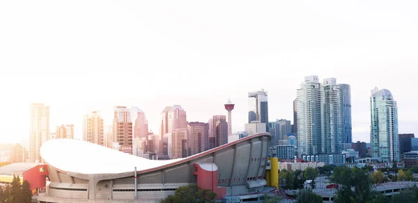 Calgary Skyline Kota Alberta Kanada — Stok Foto